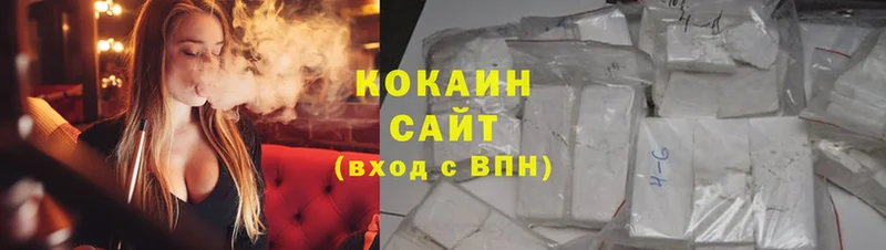 Cocaine Fish Scale  мега зеркало  Пугачёв 